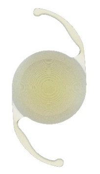 パンオプティクス