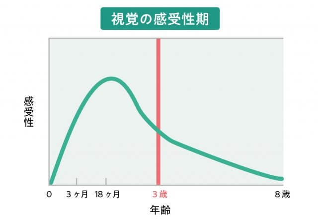 小児眼科イラスト4