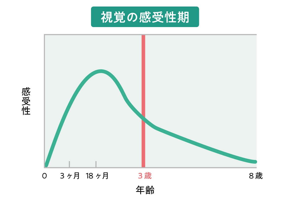 小児眼科イラスト4